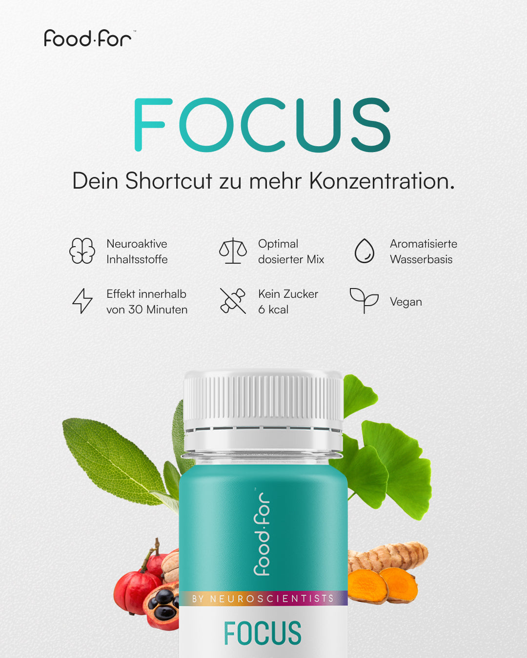 FOCUS