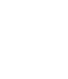 Vector
